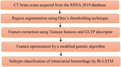 Intracranial hemorrhage detection in 3D computed tomography images using a bi-directional long short-term memory network-based modified genetic algorithm